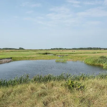 Helvig - 2-3km From The Sea In Western Jutland By Interhome *